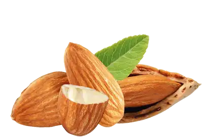 Almonds arranged on a transparent background