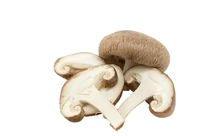 Sliced and whole mushrooms on a transparent background