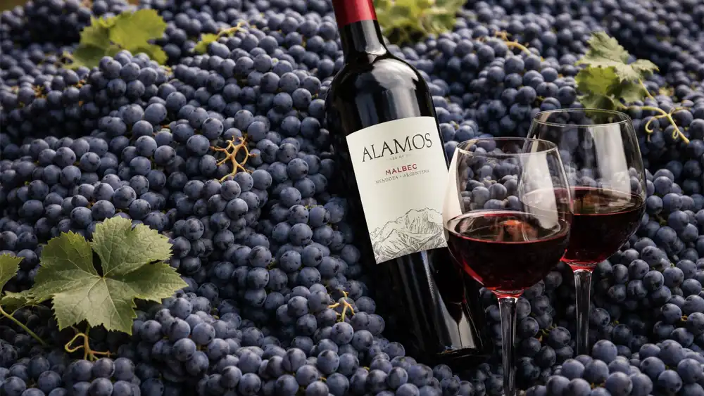 Malbec Day