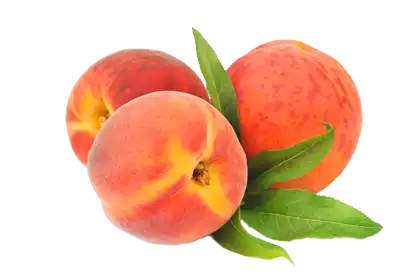 Bright, Beautiful, Tasty Peaches on a transparent background