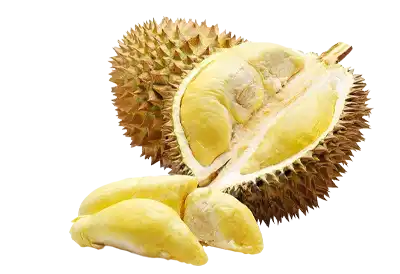 Durian Fruit Day A Durian Fruit, split open showing the edible part of the fruit on a transparent background