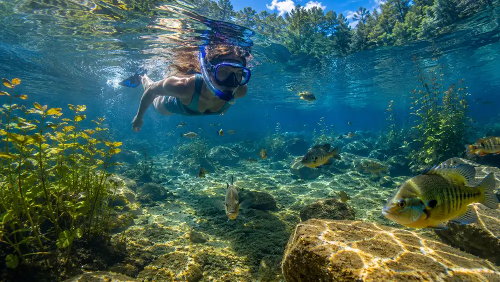 World Snorkeling Day