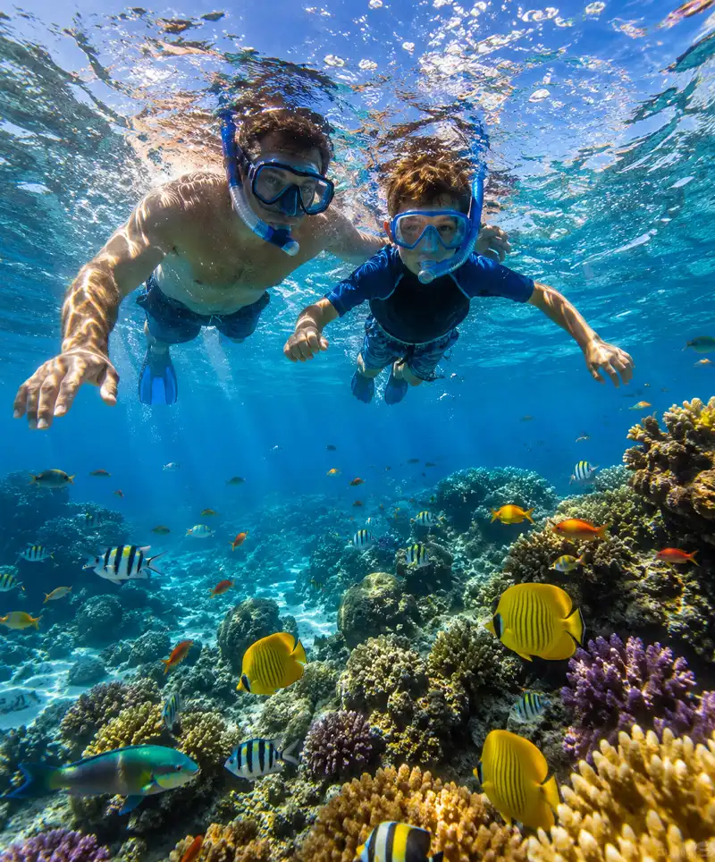 Dad and son snorkel above a vibrant coral reef on a calm, sunny day, viewing colorful tropical fish and thriving marine life from beneath the crystal-clear ocean surface.