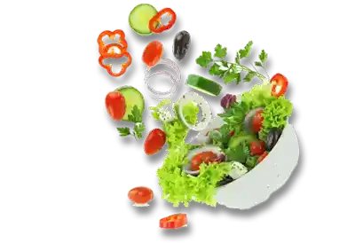 Sustainable Gastronomy Day