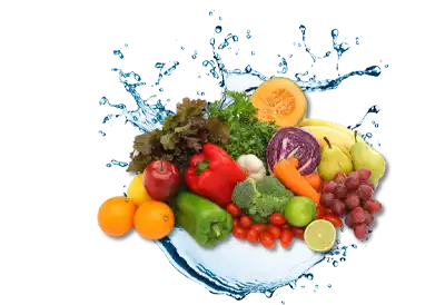 Fruits and Vegetables on a spash of water