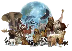 National Wildlife Day