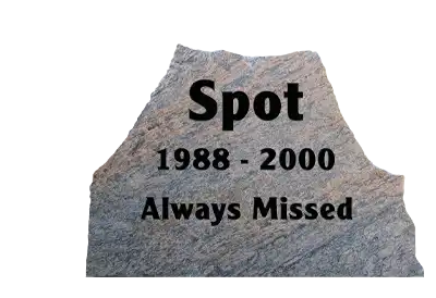 National Pet Memorial Day A Tombstone for a pet on a transparent background