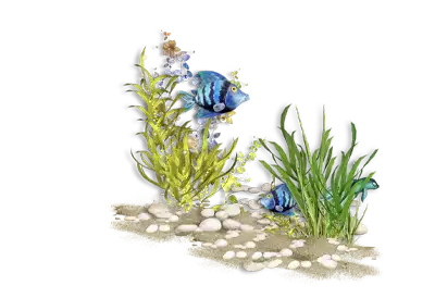 Ocean Bottom with weeds and fish on a transparent background