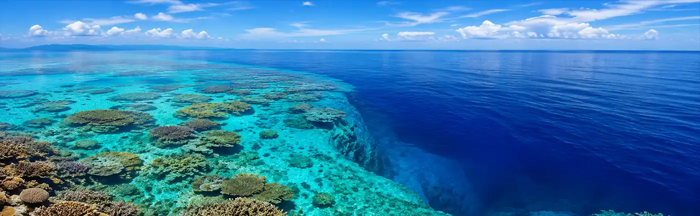 Ultra-wide view of a vibrant coral reef beneath crystal-clear ocean water, showing the dramatic edge where the shallow reef drops into a deep blue underwater abyss stretching toward the horizon.