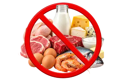 World Vegan Month A selection of animal products, including meat, poultry, fish, shrimp, eggs, milk, cheese, and dairy, covered by a bold red prohibition symbol on a transparent background, representing the avoidance of animal-derived foods during World Vegan Month.