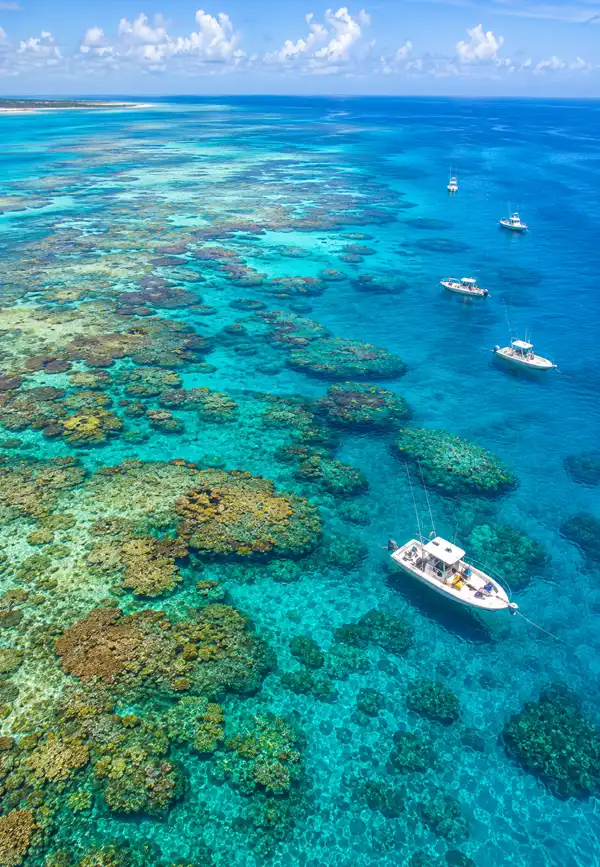 An aerial view of a vibrant coral reef beneath crystal-clear tropical water, where several fishing boats drift above the healthy reef on a bright, sunny day.