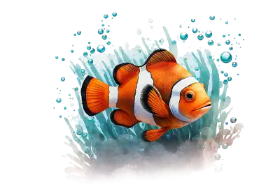A Clown Fish in Coral on a transparent background