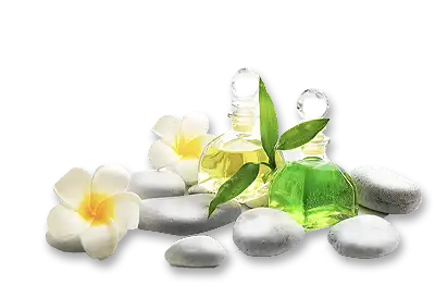 Rock and Fragrant Flowers with two fragrance bottles on a transparent background
